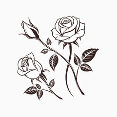 set of decorative hand drawn roses isolated on white background
