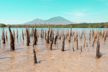 A view of the sea with a backdrop of mangrove forests and mountains in the summer. Baluran Sejile.