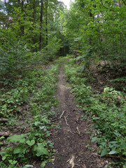 Abschnitt Bamberg bis Reundorf