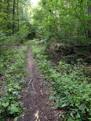 Abschnitt Bamberg bis Reundorf