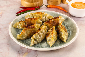 Japanese fried Gyoza stuffed dumplings