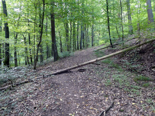 Abschnitt Bamberg bis Reundorf