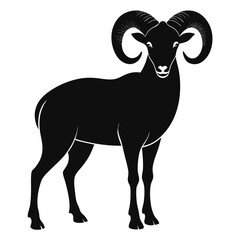 Majestic Ram Illustration An Impressive Depiction of a Strong Animal with Spiraled Horns Gracefully Standing Proudly Isolated on White