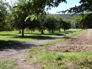 Abschnitt Bamberg bis Reundorf