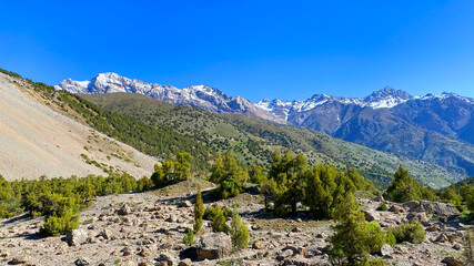 Magical mountain landscape. Green shrubs and trees grow in the arid, rocky wilderness. A mountain...