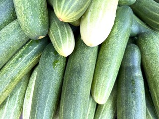Abundant green cucumbers showcase fresh produce with varied color patterns and textures in high...