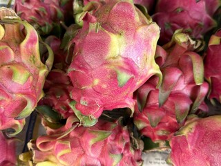 Close up showcases vibrant pile of dragon fruit with spiky outer texture