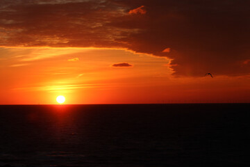 Fototapeta premium sunset at the sea