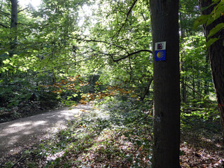 Abschnitt Bamberg bis Reundorf