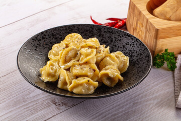 Tasty Russian dumplings with meat