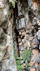 rocks in the forest
