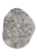 Top view of single gray pebble isolated on white background.