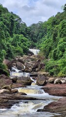 mountain river in the forest
