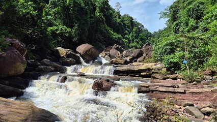 waterfall in the woods