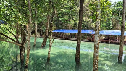 wooden bridge over the river