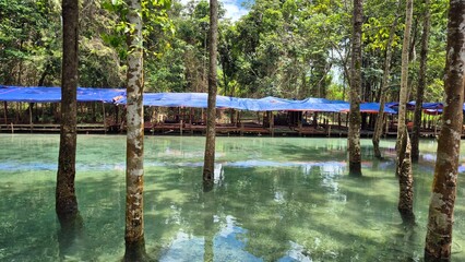 swimming pool in the tropical resort