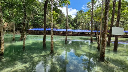 wooden bridge over the river