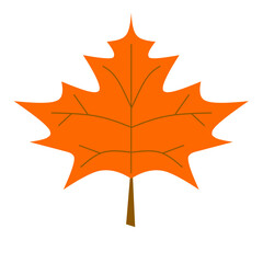 Flat Illustration of Autumn Maple Leaf