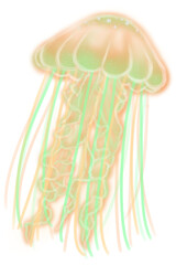 Orange Green Magical Glowing Jellyfish (with outline)