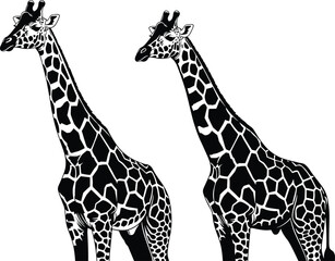 Fototapeta premium Giraffe silhouette vector, black and white animal illustration, stylized wildlife design, artistic giraffe pattern, safari theme art, editable SVG format