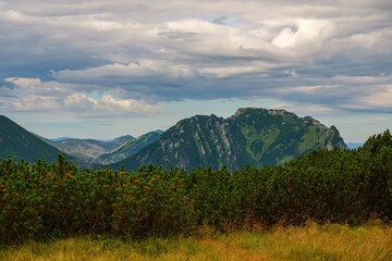 Fototapeta premium Mountain landscape with rocky peaks, green slopes, and pine shrubs under a dramatic sky. Summer view fromTatras National Park, Slovakia, Poland.
