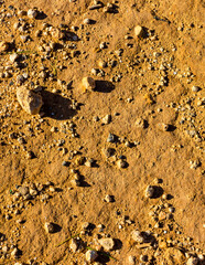 Desert ground as a natural background.