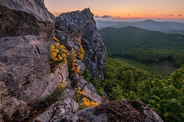Dramatic view of a rocky cliff in the Little Carpathians, Slovakia, covered with blooming yellow wildflowers. The scene overlooks a vast forested valley during sunset, capturing the peaceful