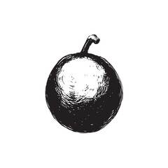 Passion Fruit Vector (1).eps © Md Shimul Hossain