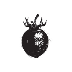 Passion Fruit Vector (2).eps © Md Shimul Hossain