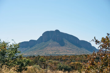 Marakele National Park safari game drive in Limpopo province, South Africa, with amazing scenic...