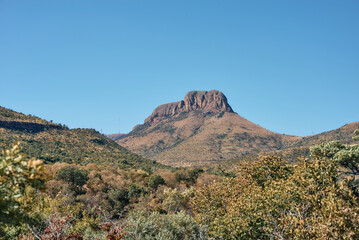 Marakele National Park safari game drive in Limpopo province, South Africa, with amazing scenic...
