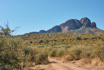 Marakele National Park safari game drive in Limpopo province, South Africa, with amazing scenic...