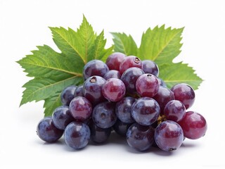 Fototapeta premium A bunch of fresh, ripe, dark red grapes with green leaves, isolated on a white background.