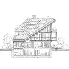 Architectural crosssection of a modern ecofriendly house with a green roof and solar panels.