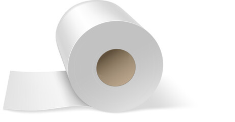 Paper Towel Roll