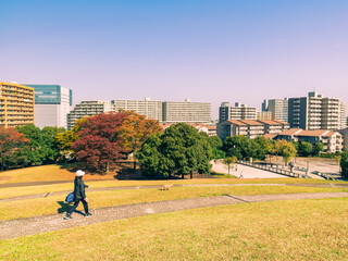 郊外の住宅地　秋の公園