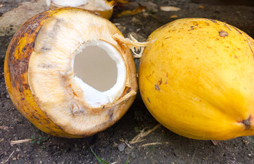 Young coconut that has been split