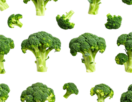 Realistic Fresh Broccoli Seamless Texture, Top View Florets, Isolated Background