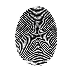 Unique fingerprint pattern isolated on Transparent background detail