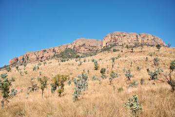Marakele National Park safari game drive in Limpopo province, South Africa, with amazing scenic...