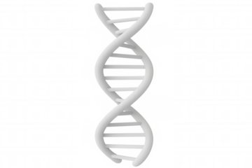 Spinning translucent dna double helix model, representing genetic research and molecular science visualization