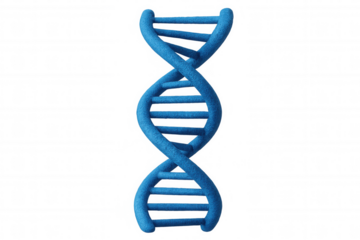 Spinning translucent dna helix model, symbolizing genetic research, scientific visualization, medical innovation against clean background