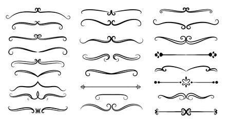 Decorative swirls line design art vector graphic illustration elegant calligraphy vintage ornate border set