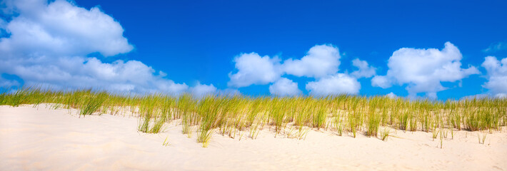Wide-angle panoramic banner of a dune landscape on the North Sea island of Norderney on a sunny summer day with fine beige sand, green dune grass, and blue sky in the Wadden Sea National Park.