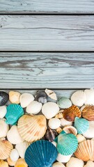 Seashells on painted wooden planks