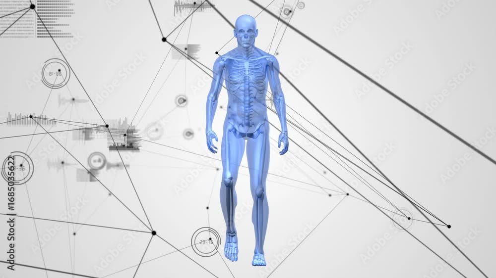 Poster animation of network of connections and data processing over human body model