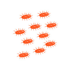 tuberculosis bacteria