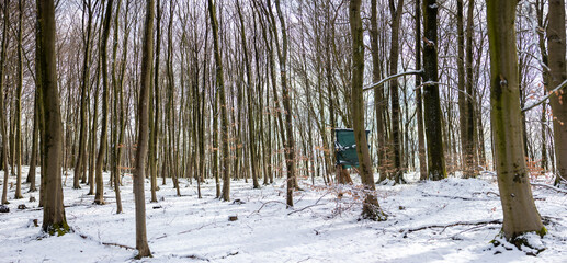 panoramic view into a winter forest with a hunter seat, snowy weather