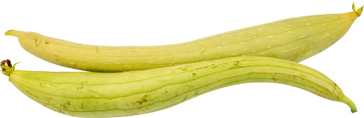 Two fresh, elongated green squash