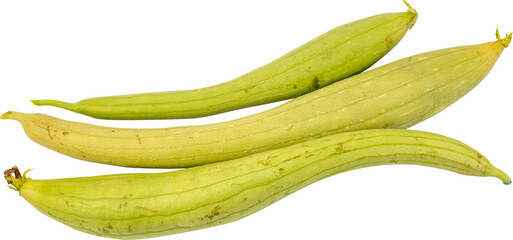 Three fresh green long beans 